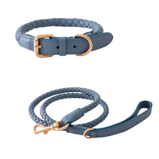 Leather Collar and Leash Set