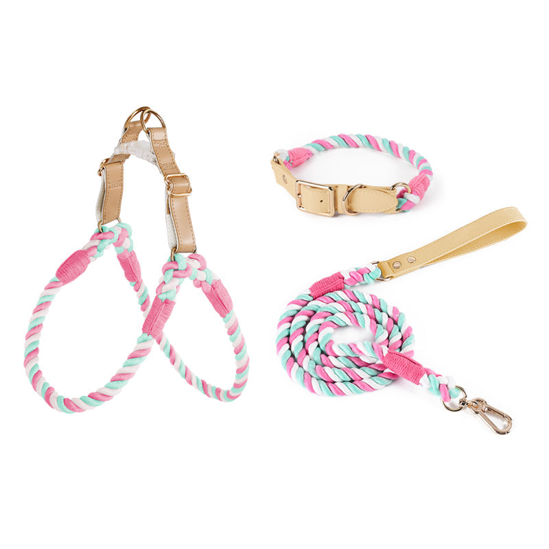 Handwoven Rope Set Colour Spectrum Dog Collar Leash Set