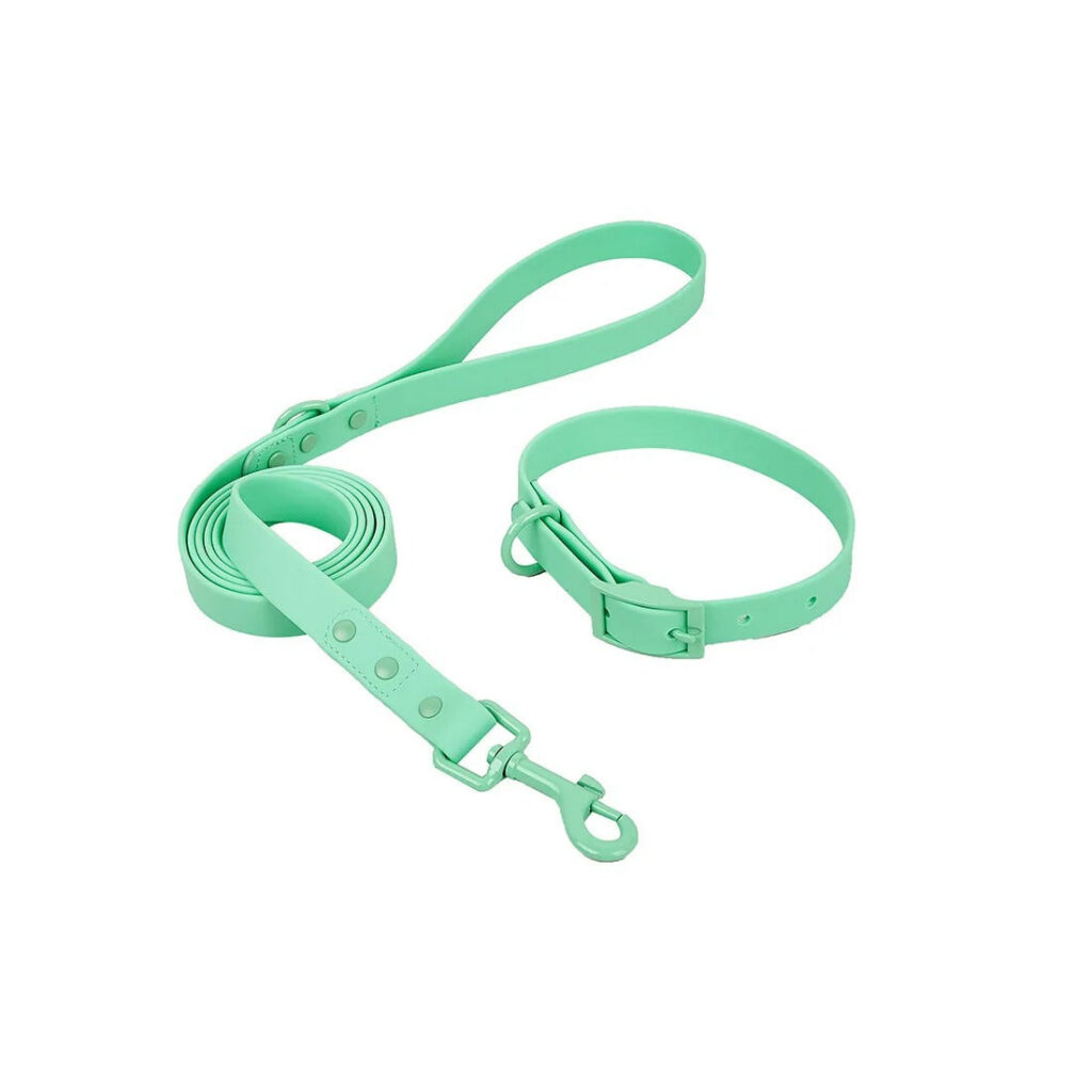 Pastel PVC Dog Collar and Leash Set